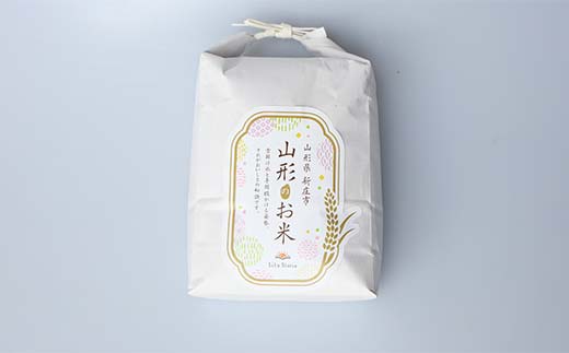 定期便 全6回 極みのはえぬき（精米）5kg×2 米 お米 おこめ 山形県 新庄市 F3S-2417
