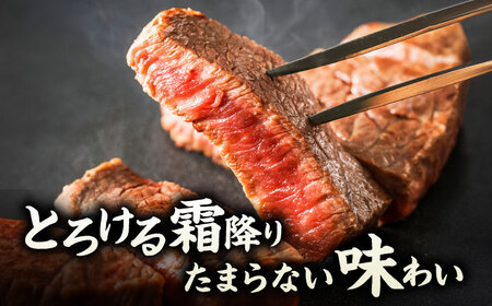 【3回定期便】くまもと黒毛和牛 サーロインステーキ 計400g（2枚）【馬刺しの郷 民守】  サーロインステーキ 熊本 和牛 国産  [ZBL052]