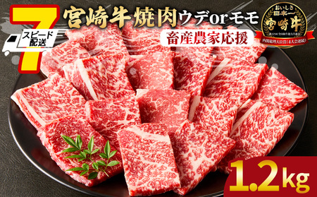 ＜宮崎牛 赤身焼肉 2パック（1.2kg）＞1～3か月以内に順次出荷【 国産 黒毛和牛 牛肉 牛 精肉 スライス ウデ肉 モモ肉 4等級以上 ブランド牛 赤身 旨味 贈答品 ギフト 贈り物 化粧箱 焼肉 グルメ ミヤチク 宮崎県 国富町 】【b0991_my_ouen_x1】
