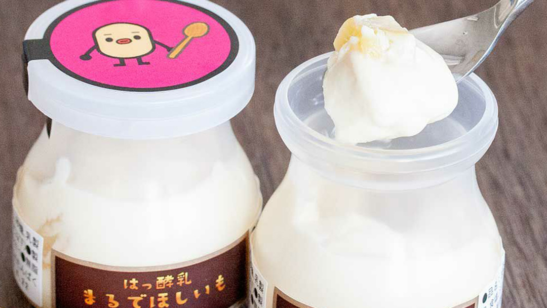 筑波ハム 『 まるでほしいも 』合計3個 ほしいもクン特製 化粧箱入り （100g×3個入り ×1箱） ( 茨城県共通返礼品 ) ヨーグルト 干し芋 干しいも ほし芋 紅はるか デザート お土産 手土