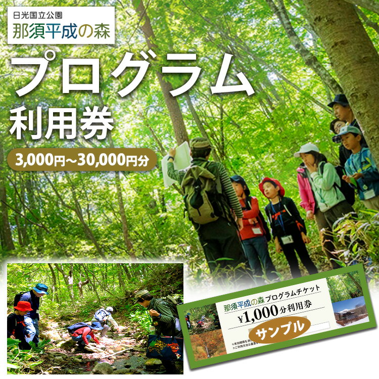 【ふるさと納税】【選べる枚数】那須平成の森 プログラム利用券 3,000円分～30,000円分 ｜ 体験 遊び チケット 自然 金券 国内 那須 栃木県 那須町