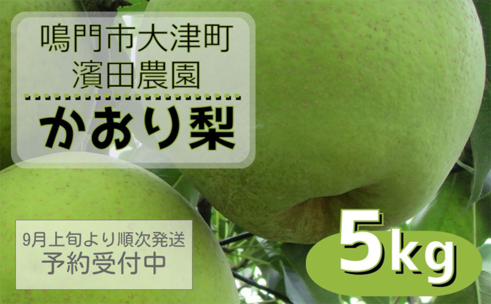 【濱田農園】 かおり梨 約5kg 【数量限定】【2024年9月上旬より順次発送 予約受付】  フルーツ 果物 梨 ナシ 旬の梨 秋の梨 旬のフルーツ 秋のフルーツ 鳴門の梨 徳島県産 フルーツ 果物 幻の梨 旬の果物 秋の果物 和梨 香梨 新興 幸水