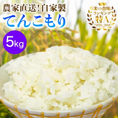 ふるさと納税 伊勢原市 [令和8年産新米 11月上旬から出荷]伊勢原産 精米5kg てんこもり 農家直送!加藤さんちの米