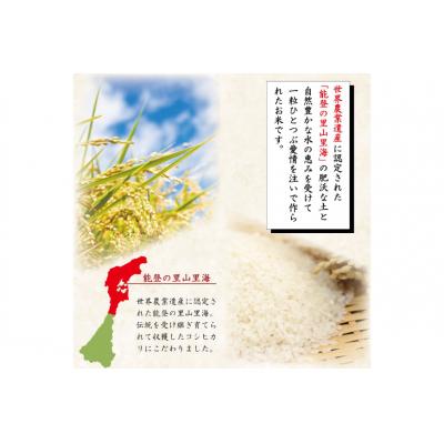 ふるさと納税 宝達志水町 米 令和7年 能登米 こしひかり 精米 10kg ×2袋 計20kg [中橋商事 38601195] |  | 01