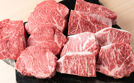 F13　宍粟牛贅沢セット【極：11Kg】【 ステーキ しゃぶしゃぶ 定期発送 冷蔵発送 宍粟牛 国産和牛 黒毛和牛 国産 3年肥育 牛肉 御中元 贈り物 BBQ キャンプ ご褒美】