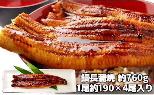 特大うなぎ長蒲焼 760g