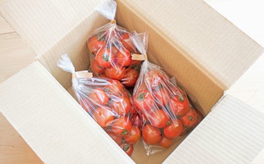 【1月〜8月頃発送】＜約1.2kg×7回 定期便＞訳あり アイメック フルティカ トマト＞ましまファーム ミニトマト フルーツトマト 【常温】送料無料 ワケあり 規格外