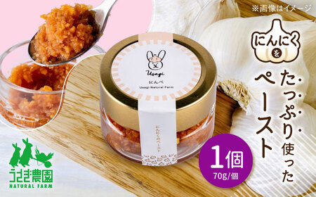 にんぺ にんにくのペースト (70g×1個)【うさぎ農園】[AYDJ007]