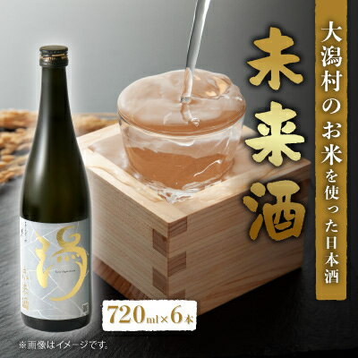 【ふるさと納税】未来酒～大潟村のお米を使った日本酒～4合瓶(720ml)×6本【配送不可地域：離島・沖縄県】【1668252】
