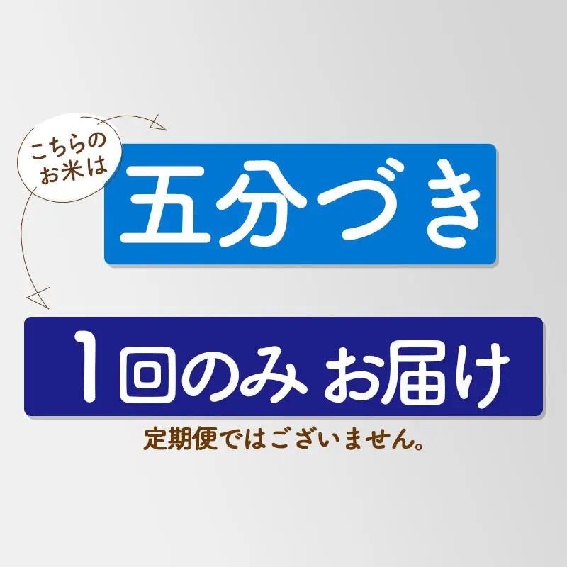 《新米先行受付》【5分搗き】あきたこまち 27kg 秋田県産 令和8年産 こまちライン