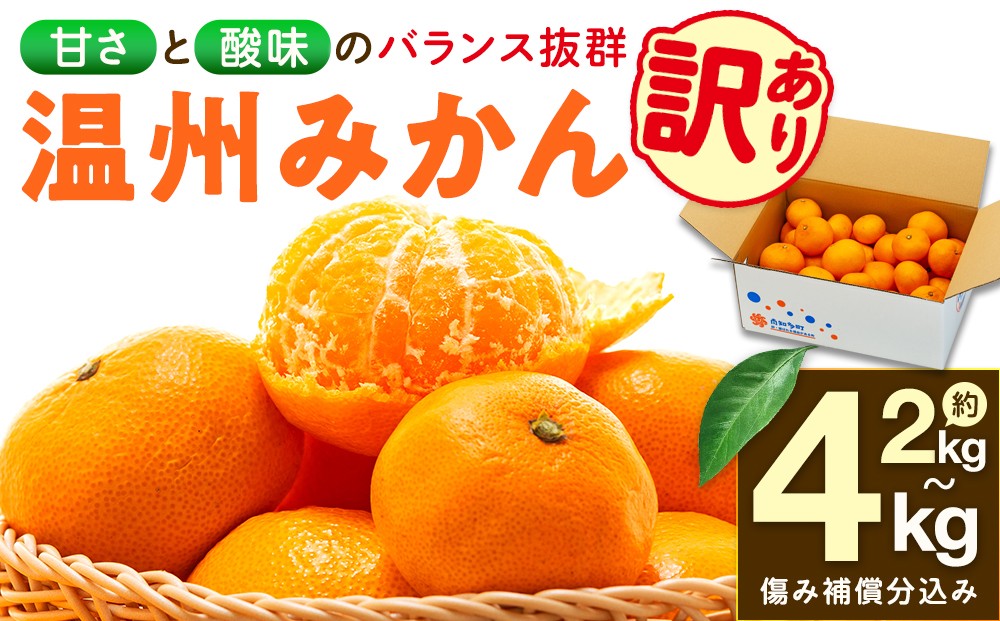 
                  訳あり 温州みかん 約2kg 約4kg 早生 【11月末～順次発送】 先行予約 南知多町産 みかん 蜜柑 柑橘 果物 フルーツ デザート アレンジ 人気 おすすめ 愛知県 南知多町 ふるさと納税みかん ふるさと納税温州みかん ふるさと納税柑橘 ふるさと納税オレンジ 愛知県産 南知多町産 美味しい 旬のフルーツ 旬の果物 新鮮 国産 食べ物 家庭用 甘い 訳アリ サイズ 不揃い
                