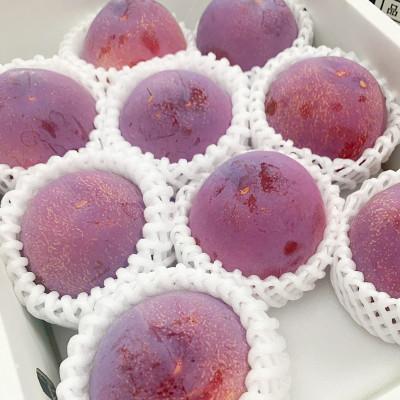 ふるさと納税 甲州市 すもも(貴陽)│7〜9玉(合計1.5kg程度) |  | 03