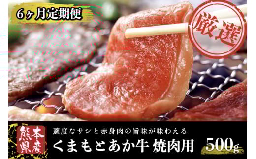【6ヶ月定期便】ＧＩ認証取得 くまもとあか牛（焼肉用500g） 定期便 6ヶ月 熊本県産 あか牛 焼肉用 500g 6回 くまもとあか牛 GI認証取得 和牛 国産牛 肉 牛 焼肉 赤身 バーベキュー ギフト 贈答用 阿蘇牧場 熊本 阿蘇 南小国町 送料無料
