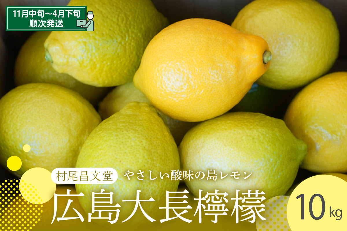 国産檸檬（レモン）発祥の地　広島大長檸檬　10kg