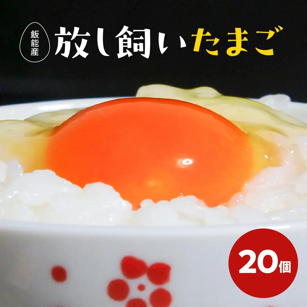 ≪飯能産≫放し飼いたまご 20個(夏季)　HNNBP003