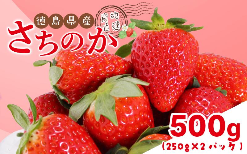 いちご 500g さちのか 苺 イチゴ ストロベリー 数量限定 徳島県産 ichigo strawberry itigo 2月上旬より順次出荷 徳島県