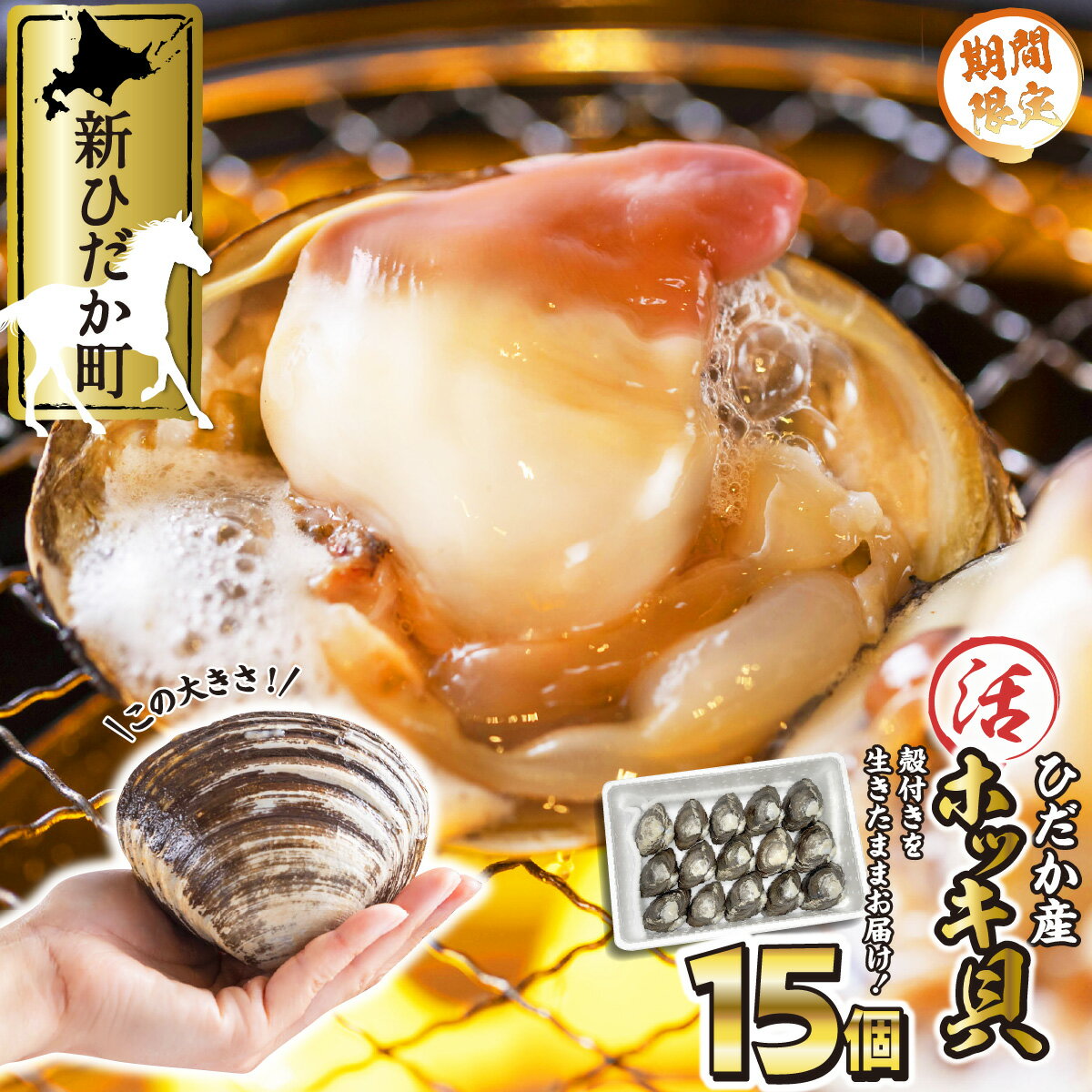 【ふるさと納税】＜ 5/10までの受付 ＞ 北海道産 活ホッキ 15個 殻付き 冬の味覚 冷蔵 貝 魚介 海鮮 海産物 新鮮 旬 活 生きたまま ウバガイ 姥貝 ホッキ 北寄貝 貝 お刺身 バター焼き フライ カレー 北海道 新ひだか町
