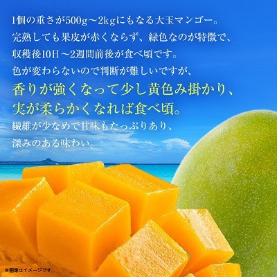【2025年発送・優品】幻のキーツマンゴー約2kg(2玉～3玉)【配送不可地域：離島】