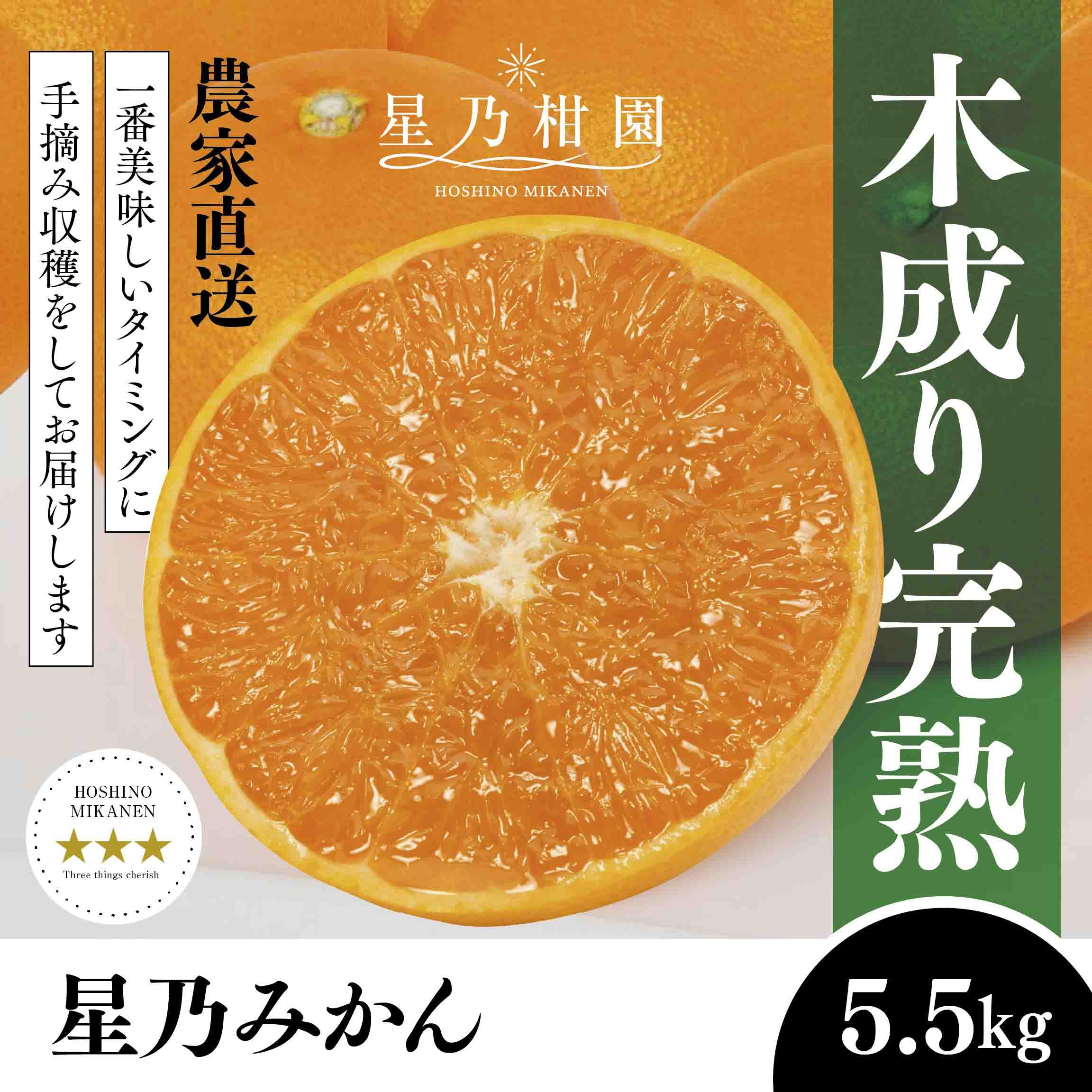 
                  ＜三つ星ブランド＞星乃みかん(5.5kg)＜C45-99＞【1652556】 YWTAZ061
                