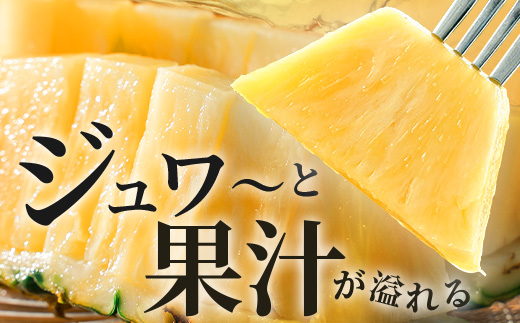 【先行予約】石垣島産 ゴールドバレル１玉 約2.0kg ギフト用梱包《2025年夏季 順次発送》【 ギフト 贈り物 産地直送 沖縄 石垣 フルーツ パイナップル パイン ゴールドバレルパイン 】SI-