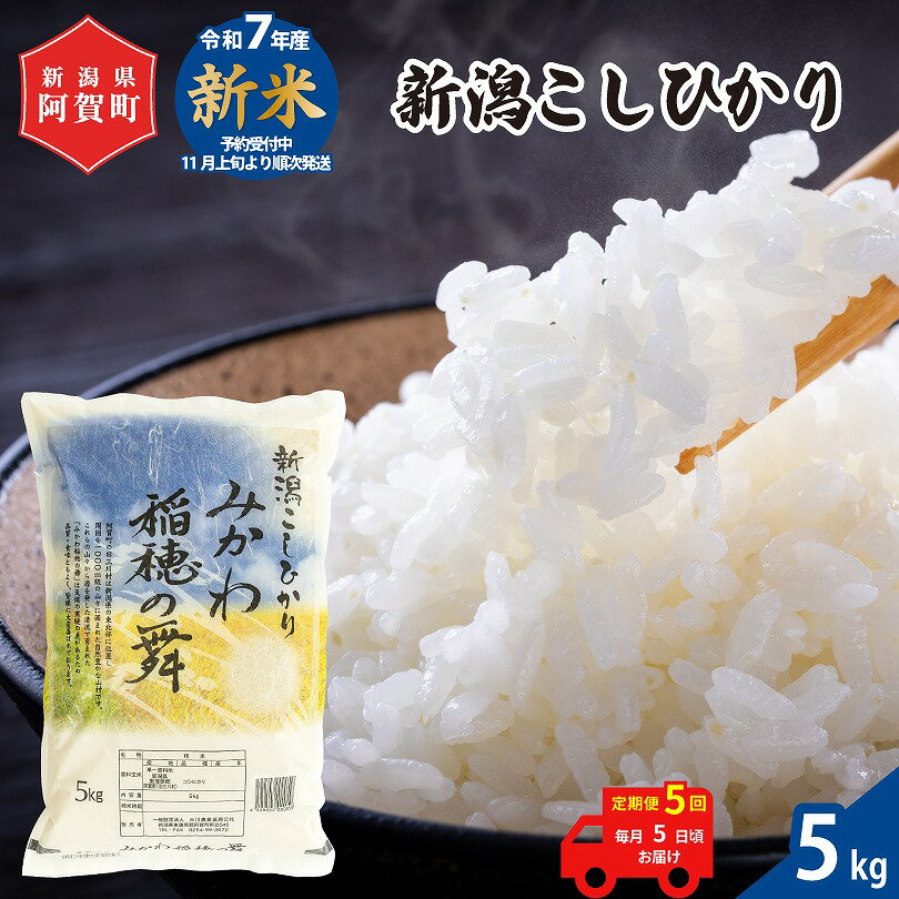 【ふるさと納税】 《先行予約》 ＜定期便 5回＞ 米 5kg 《 新潟県産 コシヒカリ みかわ稲穂の舞 》 令和7年産 5kg × 1袋 阿賀 三川 | 毎月 こしひかり 白米 精米 送料無料 お取り寄せ お米 金賞受賞 ※2025年11月上旬頃より順次発送