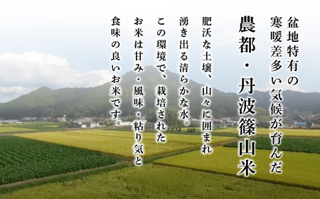 【予約】令和7年産　お米　コシヒカリ　丹波篠山産　じっくり精米25kg | 兵庫県 丹波篠山市 白米 100％単一原料米 産地直送米 贈答 おいしい お米 精米 コシヒカリ ブランド おこめ 健康 ギ