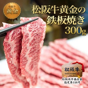 松阪牛 焼肉 セット 800g ホルモン 松阪牛
