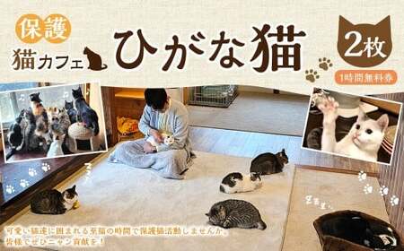 保護猫カフェひがな猫 1時間無料券 2枚 ／ チケット 券 利用券 カフェ利用券 体験チケット 猫カフェ ネコカフェ ねこカフェ 保護猫 保護猫カフェ 1時間 無料 高知県 香美市