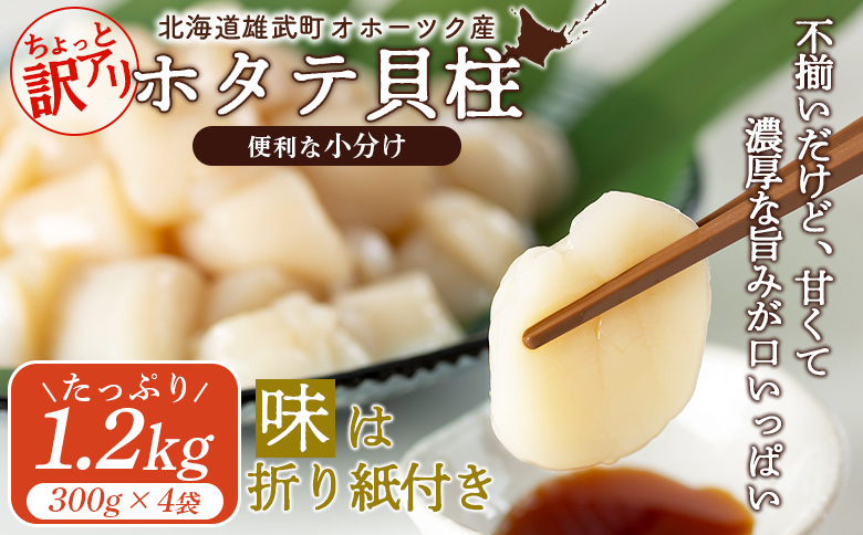 ちょっと訳ありホタテ貝柱小分け1.2kg【0320101】