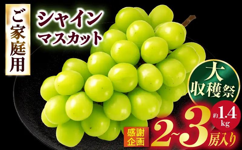 【大収穫祭・感謝企画】ご家庭用シャインマスカット　約1.3kg以上(2～3房) | シャインマスカット マスカット ぶどう ブドウ 葡萄 果物 フルーツ 新鮮 くだもの 国産 ギフト お裾分け 旬 人気 種なし 皮ごと食べられる ジューシー 糖度が高い 季節限定 おすすめ 旬の果物 香川 香川県 三木町 ご家庭用 訳あり |_mk006-147