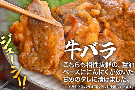 牛豚味付け焼肉セット 1.2kg 牛バラサガリ 牛バラ 豚バラ 味付き 小分け 保存 醤油 にんにく タレ 子供 生姜 香味野菜 ネギ塩 キャンプ バーベキュー 福岡県 福岡 九州 グルメ お取り寄せ