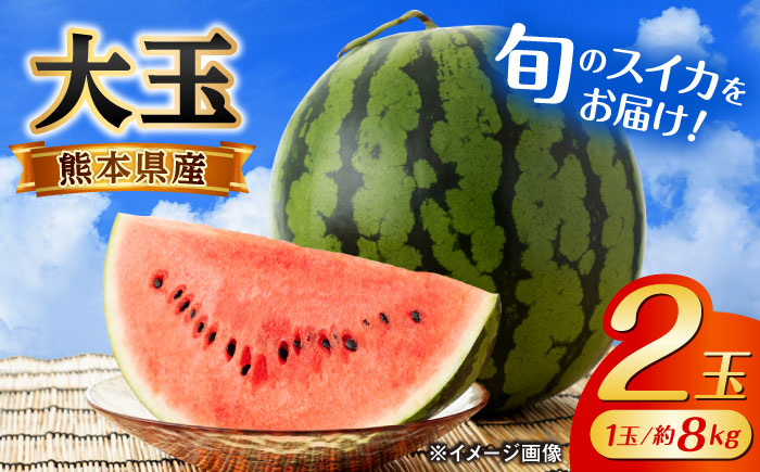 
            【先行予約】【数量限定】大玉 西瓜 2玉入り (1玉約8kg以上×2玉)【株式会社 GGYパッケージ】 [AYAU002]
          