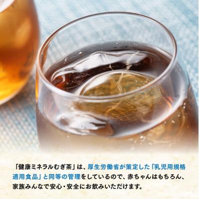 ふるさと納税 川南町 伊藤園　健康ミネラル むぎ茶650ml×24本PET(川南町) |  | 02