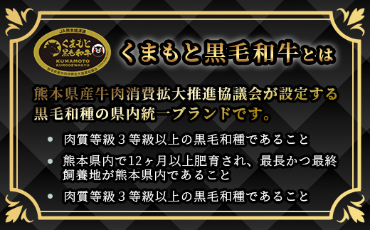 【A4～ A5等級】くまもと黒毛和牛モモステーキ 約1kg ( 100ｇ×10P ) ≪ ブランド 牛肉 肉 赤身 モモ ステーキ 1kg 大容量 小分け ご馳走 和牛 国産 熊本県 上級 上質 ≫