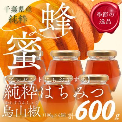 ふるさと納税 大網白里市 千葉県産「純粋はちみつ」からすざんしょう100g×6個