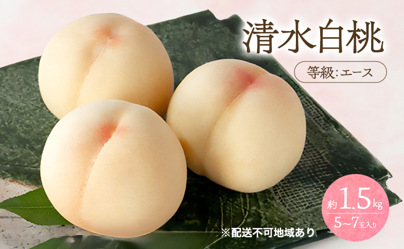 桃 2026年 先行予約 清水 白桃 等級 エース 約1.5kg 5～7玉入りもも モモ 岡山 国産 フルーツ 果物 桃茂実苑