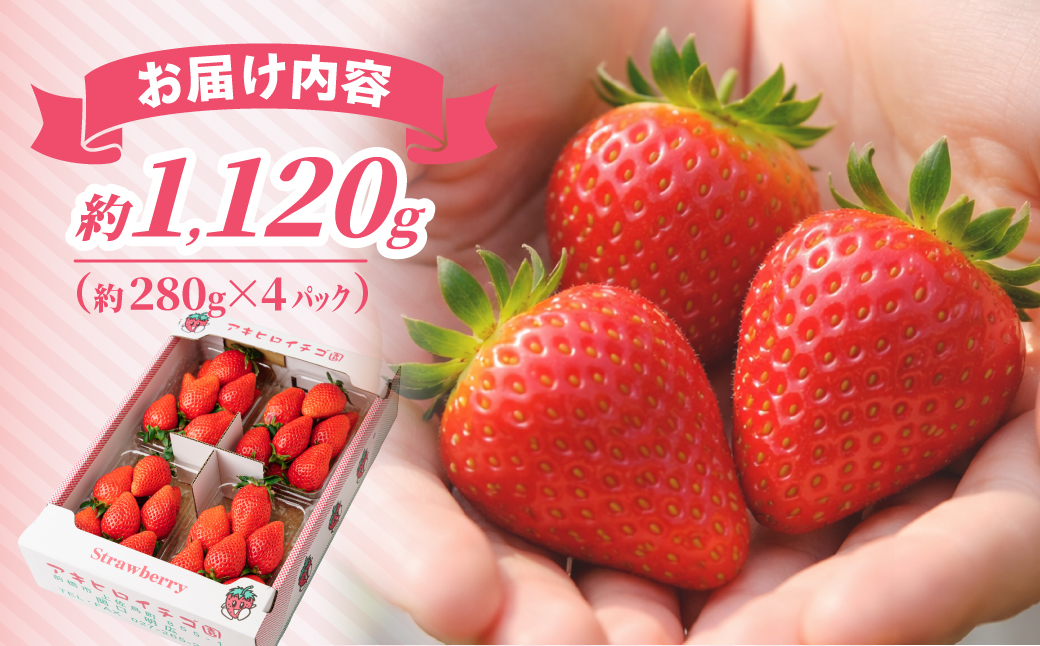 家庭用いちご　やよいひめ（群馬県オリジナル品種のイチゴ）約280g×４パック（箱入り）