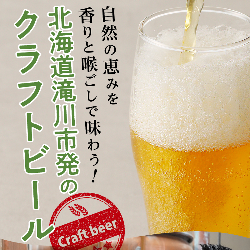 滝川クラフトビール工房 りんご＆ドライ 6本セット｜北海道 滝川市 クラフトビール ビール 酒 お酒 りんご  リンゴ ドライ セット_イメージ3