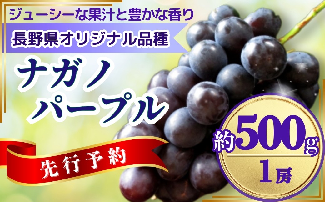 
            【2025年先行予約】ぶどう ナガノパープル 約500g(1房)｜ 果物 フルーツ ぶどう 葡萄 ブドウ 種無し 種なし 皮ごと 千曲市 長野県 信州
          