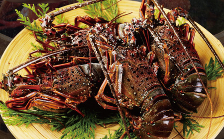 お刺身に！！ 室戸産 活冷伊勢海老 1kg（2尾～5尾程度）