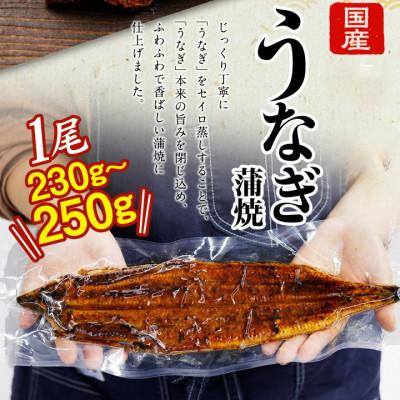 ふるさと納税 阪南市 【2026年5月2日より順次発送】「国産うなぎ蒲焼」3尾(690〜750g)【BBQにおすすめ】 |  | 02