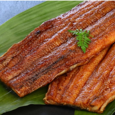 【毎月定期便】うなぎ蒲焼2尾入り(化粧箱入り)　地元老舗うなぎ加工会社より真空でお届け全3回【配送不可地域：離島】【4081407】