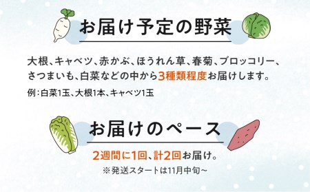 【11月中旬～12月下旬発送】2回定期便 旬の冬野菜定期便 雪国飛騨の美味しい冬野菜セット 3種類以上 大根 キャベツ 赤かぶ ほうれん草 春菊 ブロッコリー さつまいも 白菜 野菜 産地直送[Q14