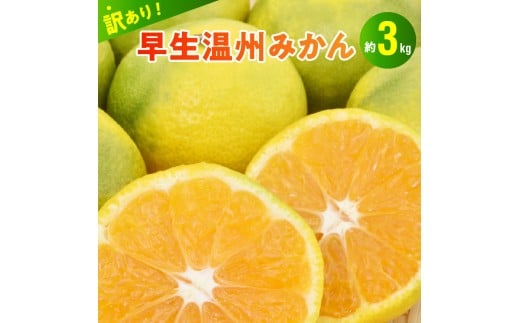101-13  村田果樹園　【訳アリ】早生温州みかん  約3kg