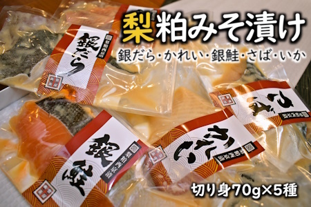 梨粕みそ漬け 鮮魚5種Eセット 銀だら かれい 銀鮭 さば いか 切り身 70g×9種 骨取り 漬け魚 個包装 焼き方ガイド付き