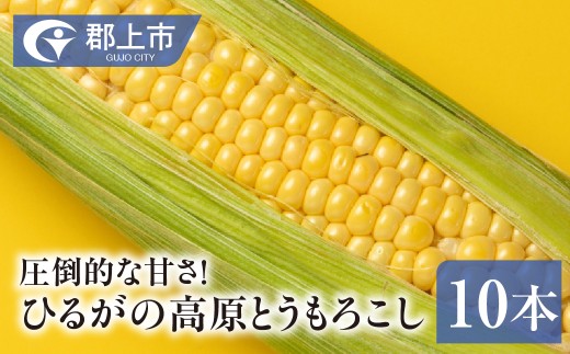 ≪在庫残り僅か≫ ひるがの高原とうもろこし 10本 入り 2026年産 夏限定 トウモロコシ 甘い おいしい とうもろこし コーン 野菜 やさい 生 旬 夏 BBQ 焼肉 おおもの など 産地直送 岐阜県 郡上市 郡上