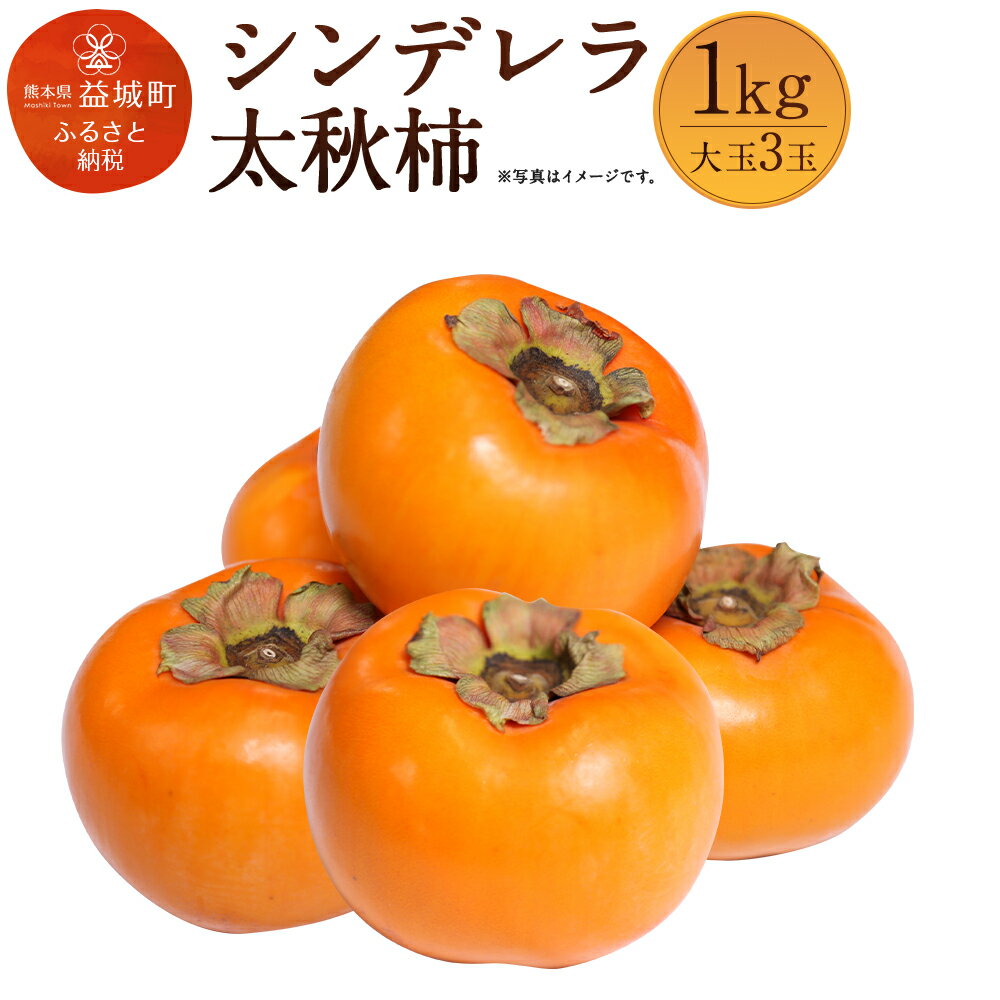 【ふるさと納税】シンデレラ太秋柿 1kg 大玉3玉 木箱入り 福馬果樹園 フルーツ 果物 国産 熊本県産 ギフト 贈り物 送料無料【2025年11月上旬～12月下旬発送予定】