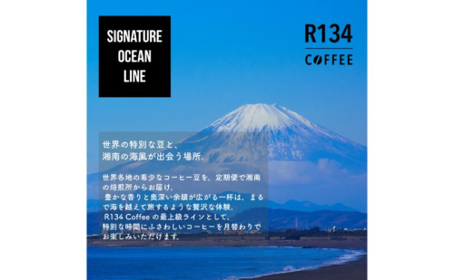 R134 COFFEE / コーヒー / Signature Ocean Line / Exclusive / 100g 豆 x 2種 / 3ヶ月連続定期便