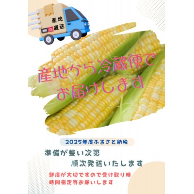 【2025年先行受付】愛知県みよし市産 朝採り「夢コーン。」 Lサイズ　40本セット　数量限定【配送不可地域：離島・沖縄県】