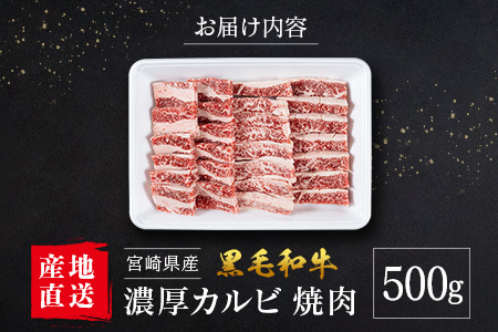 【産地直送】宮崎県産 黒毛和牛 濃厚カルビ 焼肉 500g